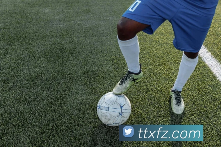 开云app平台生态图